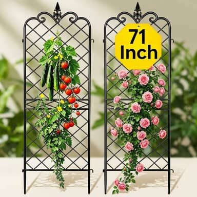 AMAGABELI Metal Garden Trellis for Climbing Plants (60 x 18 in, 4-Pack)