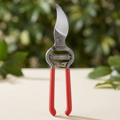 Corona ClassicCUT Forged Bypass Pruner (BP 3180D)