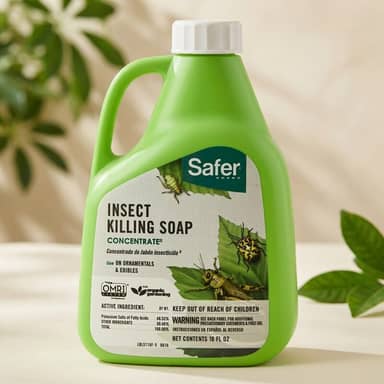 Safer Brand Insect Killing Soap Concentrate