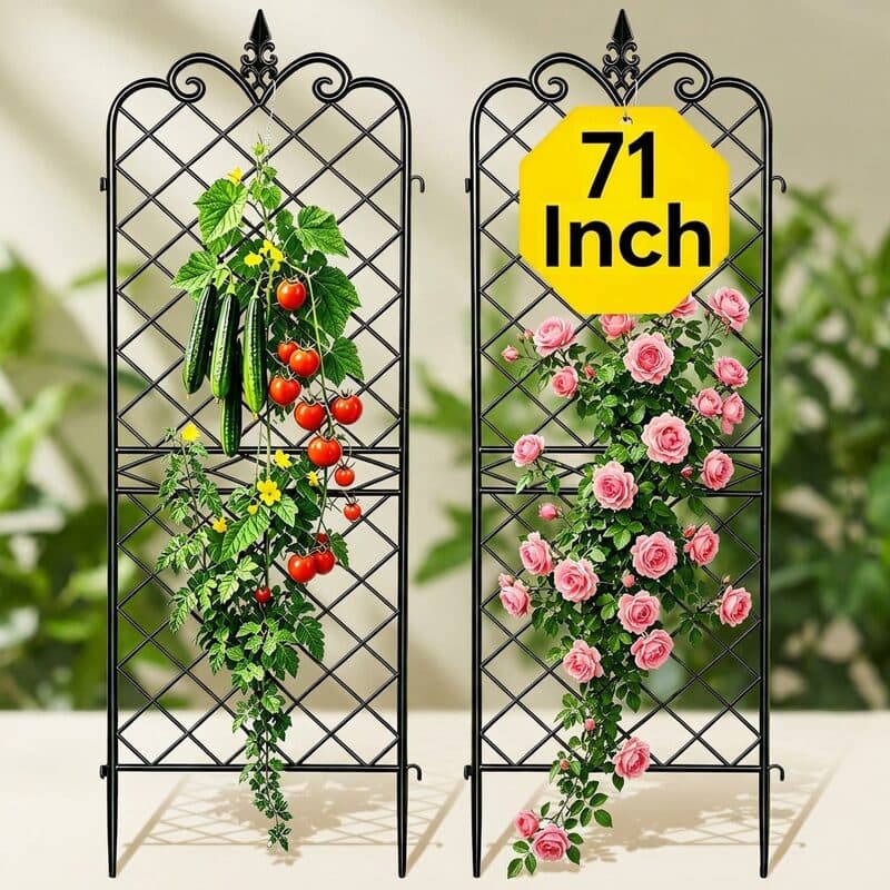 AMAGABELI Metal Garden Trellis for Climbing Plants (60 x 18 in, 4-Pack)