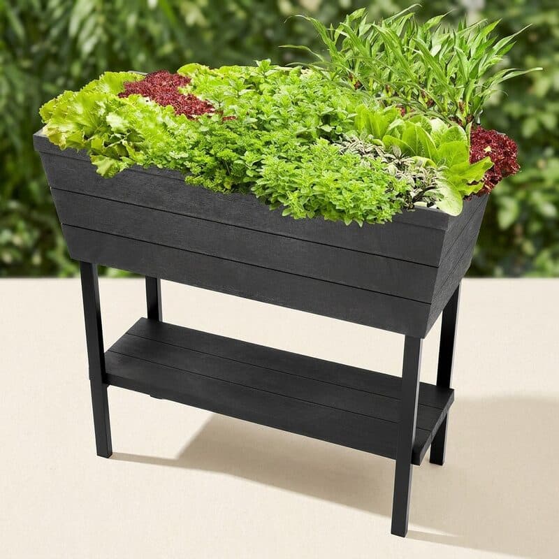 Keter Urban Bloomer Self-Watering Resin Planter