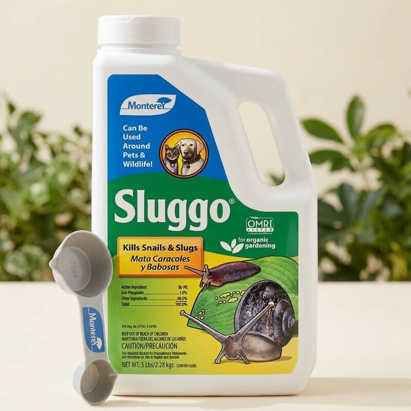 Monterey Sluggo slug and snail bait container