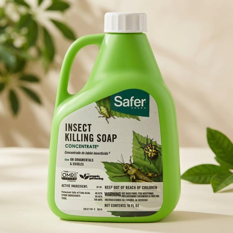 Safer Brand Insect Killing Soap Concentrate