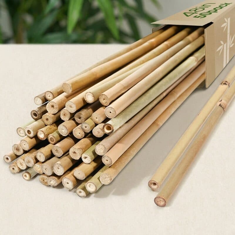 Cambaverd Natural Bamboo Garden Stakes (4 ft, 50-Pack)