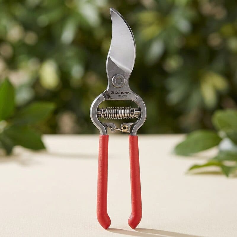 Corona ClassicCUT Forged Bypass Pruner (BP 3180D)